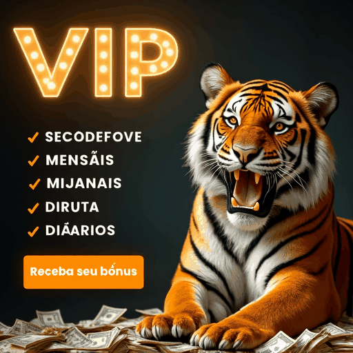 8555bet